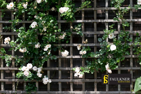 Can I put trellis on my Neighbours garage wall? 2 Do you want to adapt your neighbours garage door and add a trellis Aldershot? Talk to Faulkner Surveyor Aldershot